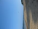 Click on one of the size names above to enlarge this image