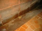 Click on one of the size names above to enlarge this image