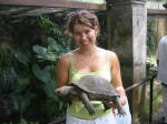 Click on one of the size names above to enlarge this image