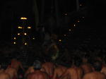 Click on one of the size names above to enlarge this image