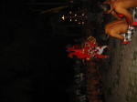 Click on one of the size names above to enlarge this image
