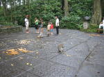 Click on one of the size names above to enlarge this image