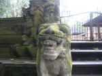 Click on one of the size names above to enlarge this image