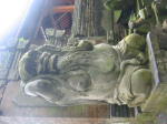 Click on one of the size names above to enlarge this image