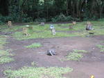 Click on one of the size names above to enlarge this image