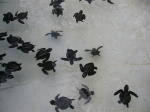 Click on one of the size names above to enlarge this image
