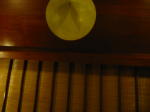 Click on one of the size names above to enlarge this image
