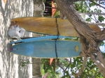 Click on one of the size names above to enlarge this image