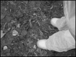 Click on one of the size names below to enlarge this image