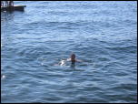Click on one of the size names above to enlarge this image Click on one of the size names above to enlarge this image