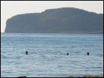 Click on one of the size names below to enlarge this image