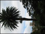 Click on one of the size names above to enlarge this image Click on one of the size names above to enlarge this image