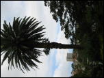Click on one of the size names above to enlarge this image Click on one of the size names above to enlarge this image