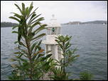 Click on one of the size names above to enlarge this image Click on one of the size names above to enlarge this image