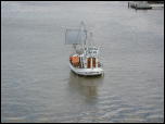 Click on one of the size names above to enlarge this image Click on one of the size names above to enlarge this image