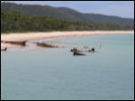 Click on one of the size names above to enlarge this image Click on one of the size names above to enlarge this image