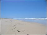 Click on one of the size names above to enlarge this image Click on one of the size names above to enlarge this image