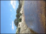 Click on one of the size names above to enlarge this image Click on one of the size names above to enlarge this image