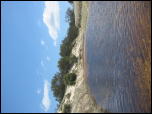 Click on one of the size names above to enlarge this image Click on one of the size names above to enlarge this image