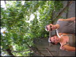 Click on one of the size names above to enlarge this image Click on one of the size names above to enlarge this image