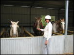 Click on one of the size names above to enlarge this image Click on one of the size names above to enlarge this image