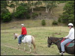 Click on one of the size names above to enlarge this image Click on one of the size names above to enlarge this image