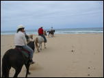 Click on one of the size names above to enlarge this image Click on one of the size names above to enlarge this image