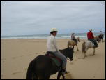 Click on one of the size names above to enlarge this image Click on one of the size names above to enlarge this image