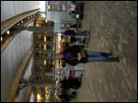 Click on one of the size names below to enlarge this image