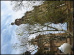 Click on one of the size names below to enlarge this image
