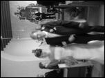 Click on one of the size names above to enlarge this image Click on one of the size names above to enlarge this image