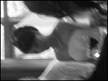 Click on one of the size names above to enlarge this image Click on one of the size names above to enlarge this image