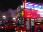 Click on one of the size names above to enlarge this image Click on one of the size names above to enlarge this image