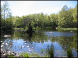 Click on one of the size names below to enlarge this image