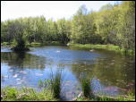 Click on one of the size names below to enlarge this image